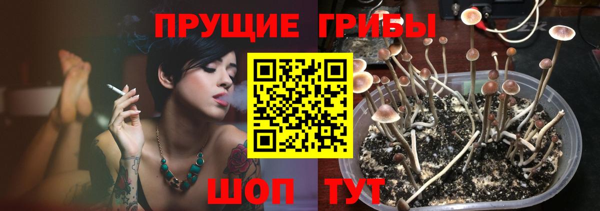 Псилоцибиновые грибы Magic Shrooms  купить наркоту  Истра 