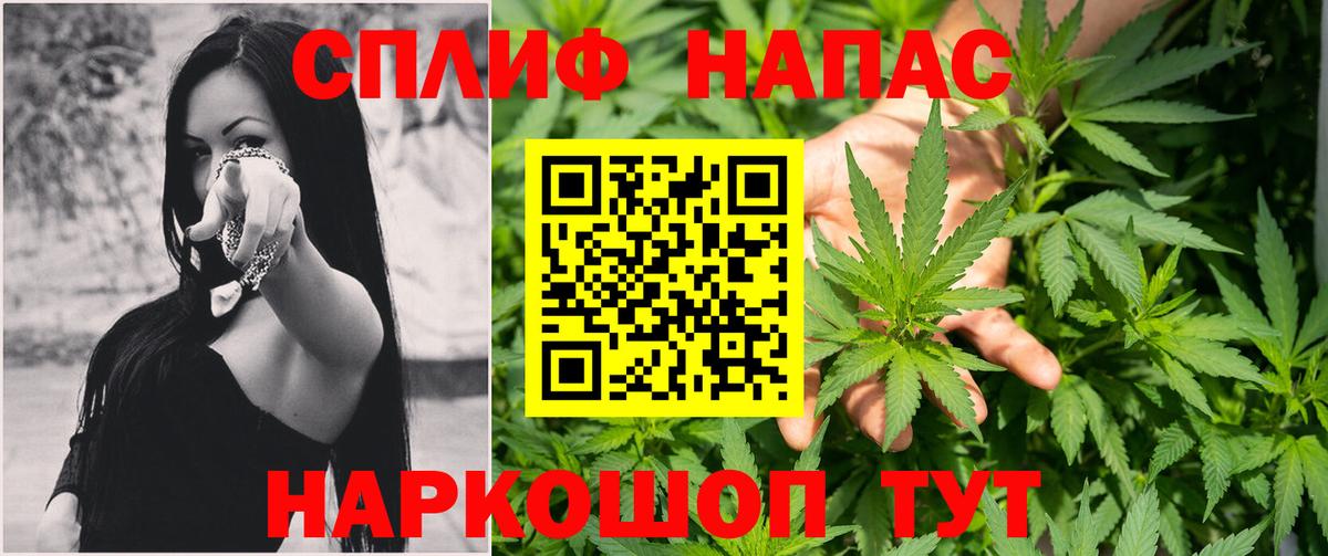Марихуана гибрид Истра